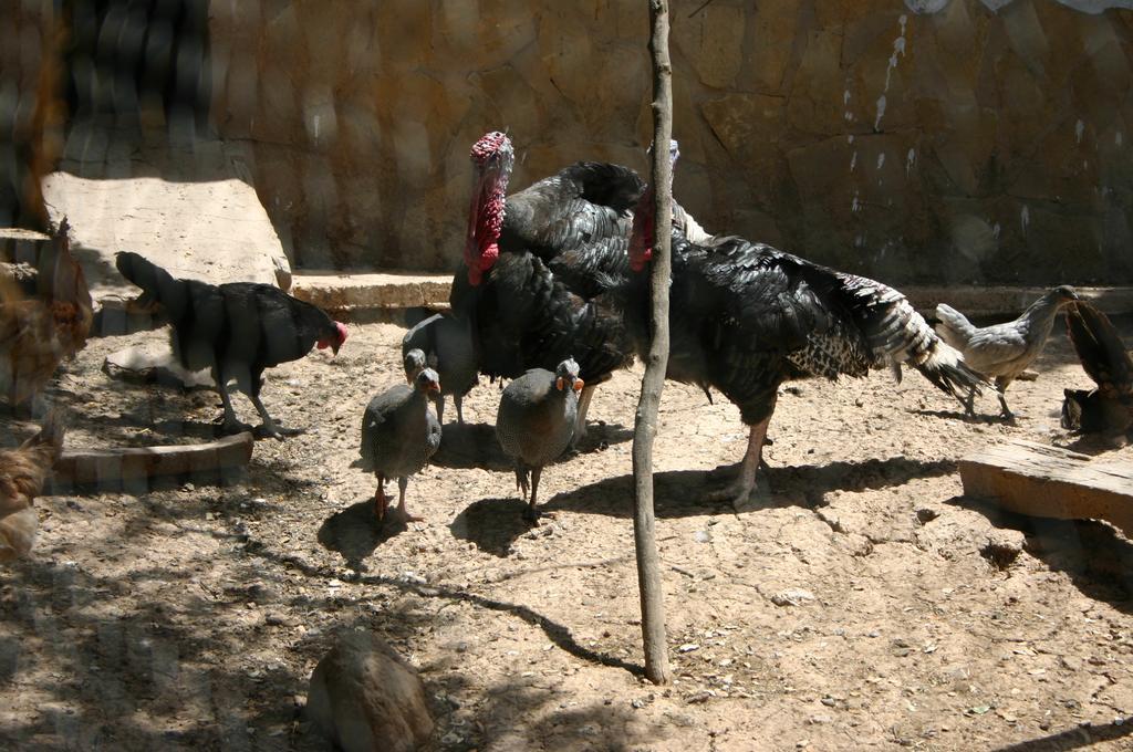 Casas Rurales La Loma Del Carrascal Hornos Ngoại thất bức ảnh