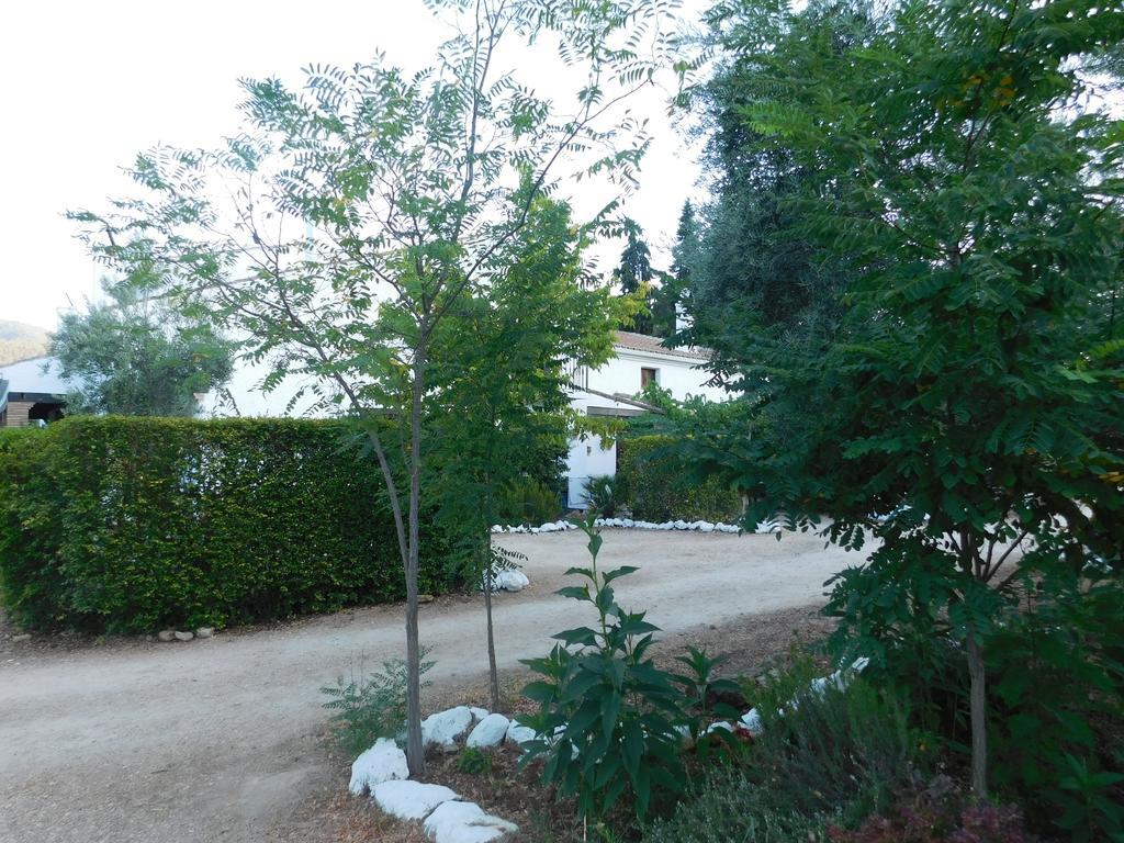 Casas Rurales La Loma Del Carrascal Hornos Ngoại thất bức ảnh